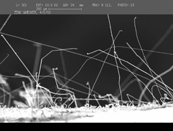 Zinc Whiskers Growing